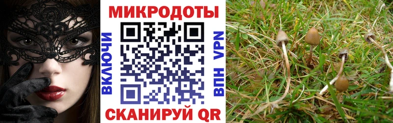 Псилоцибиновые грибы мухоморы  Железногорск-Илимский 